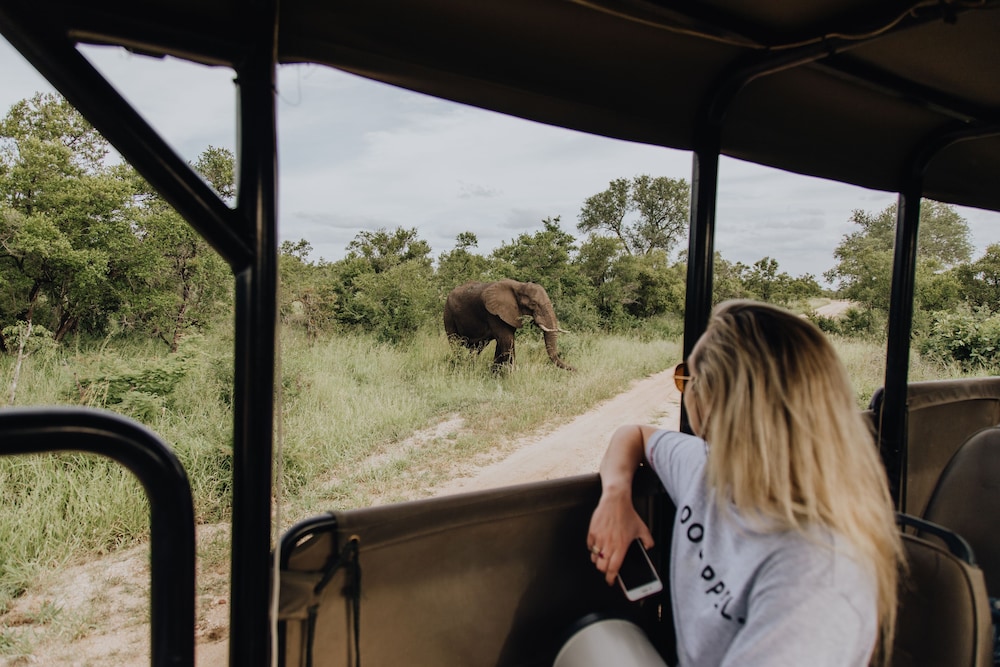 Nkambeni Safari Camp 21/64