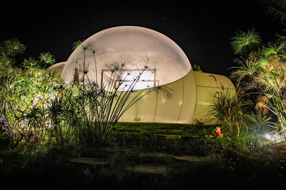 Green Land Bubble Glamping 7/60
