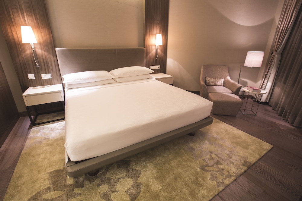 Hyatt Regency Delhi 32/72