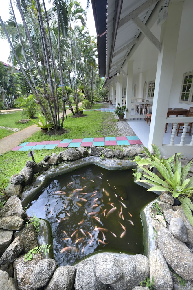 Patong Palace Hotel 27/50