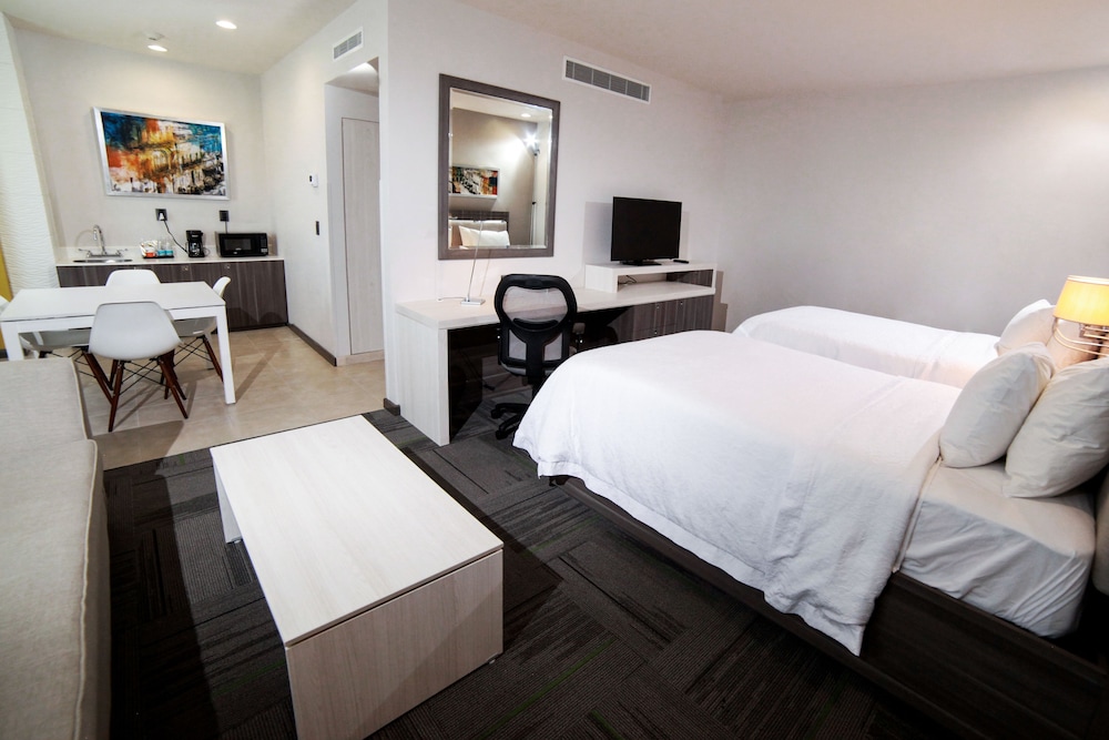Hampton Inn Suites By Hilton Aguascalientes Airport 27/58