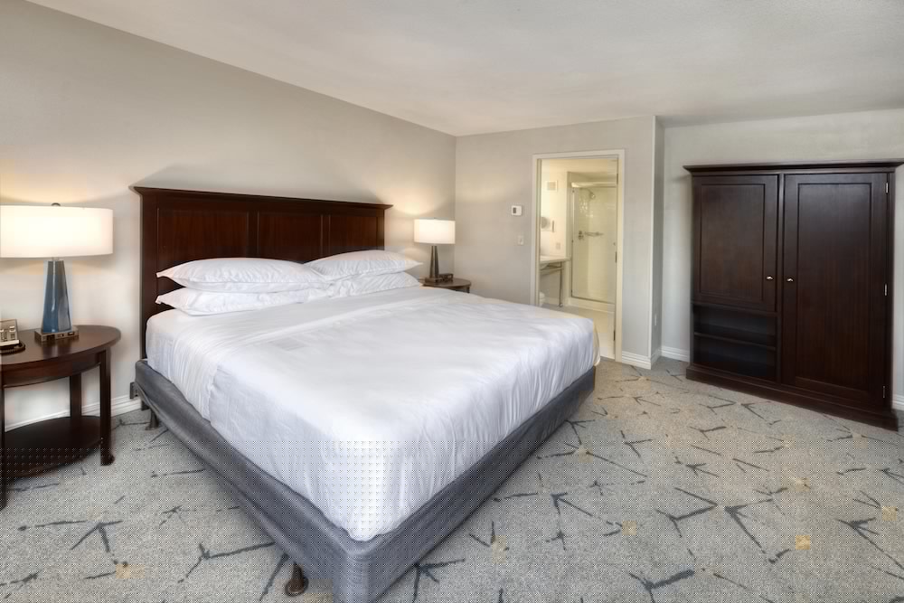 Sheraton Baltimore Washington Airport Hotel - BWI 10/56