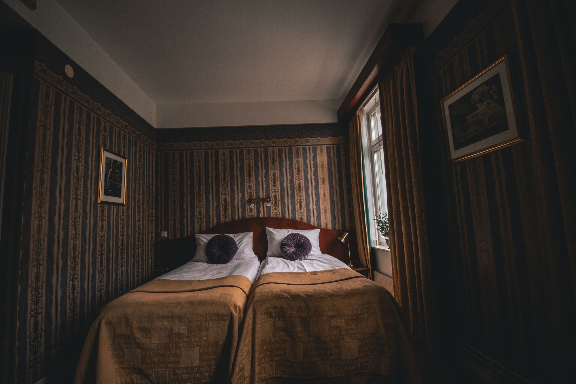 Superior, Twin Beds, Mojo Hotell 2/8