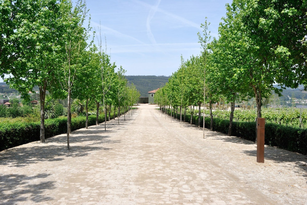 Monverde Wine Experience Hotel by Unlock Hotels 56/62