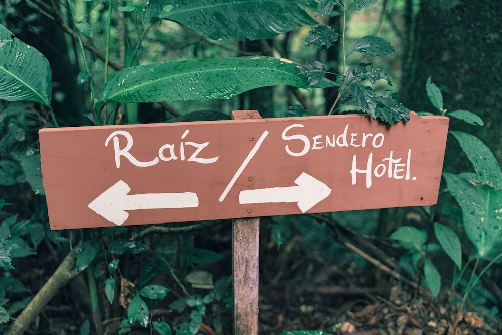 Jardines de Monteverde Hotel 20/50