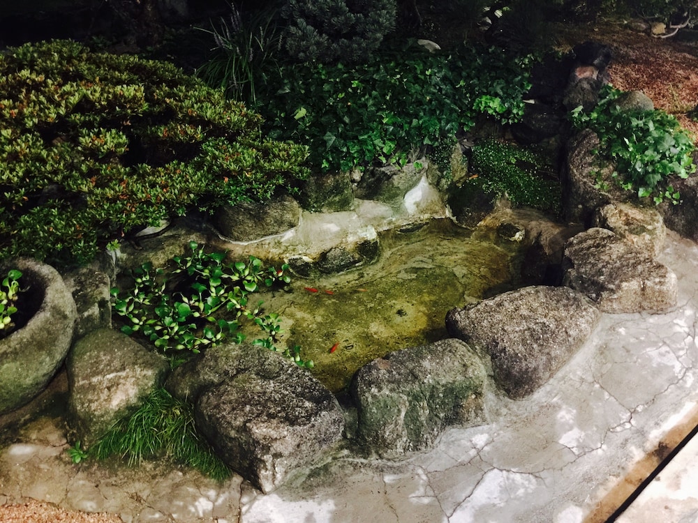 Taejomaru 20/28