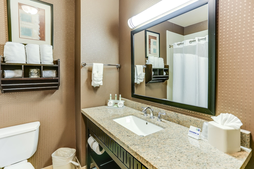 غرفة قياسية بسرير كينج لذوي الإعاقة، Holiday Inn Express Hotel And Suites Huntsville 2/2