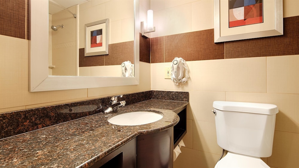 Best Western Plus Poconos Hotel 19/43