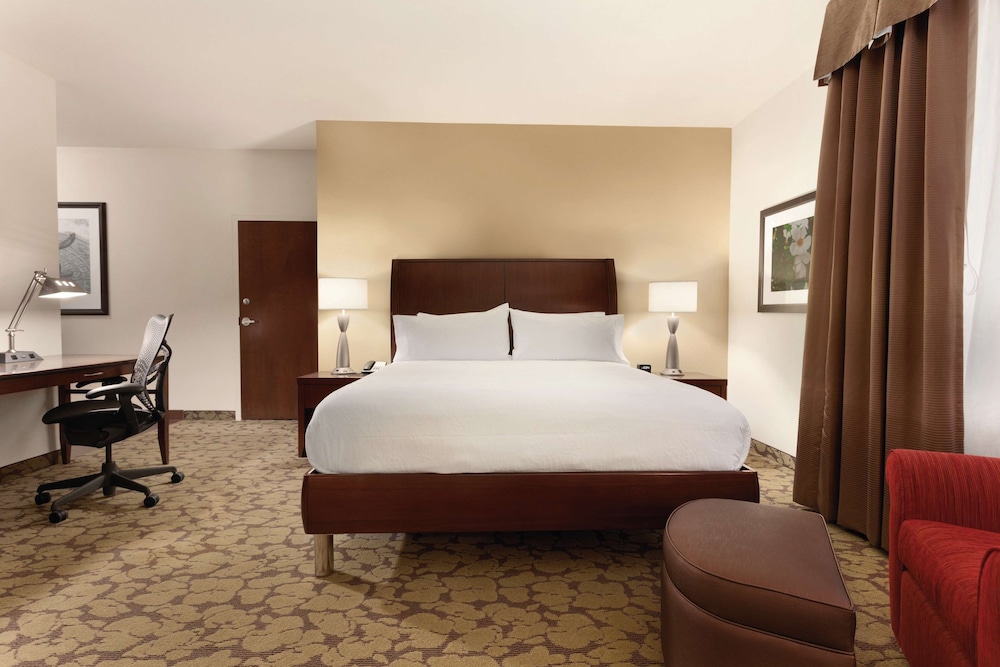 Hilton Garden Inn Rochester Downtown NY 19/66