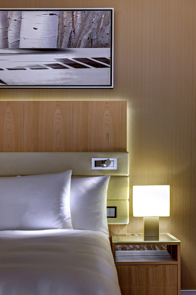 Hilton Frankfurt Airport 18/66