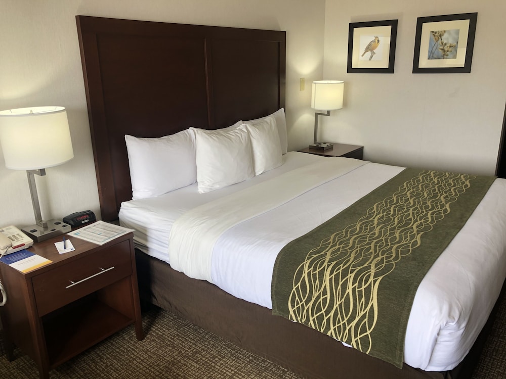 Comfort Inn Grand Island North 9/31