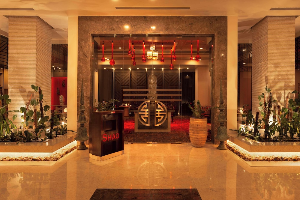 Radisson Blu Bengaluru Outer Ring Road (ex Park Plaza Bengaluru Hotel) 11/74