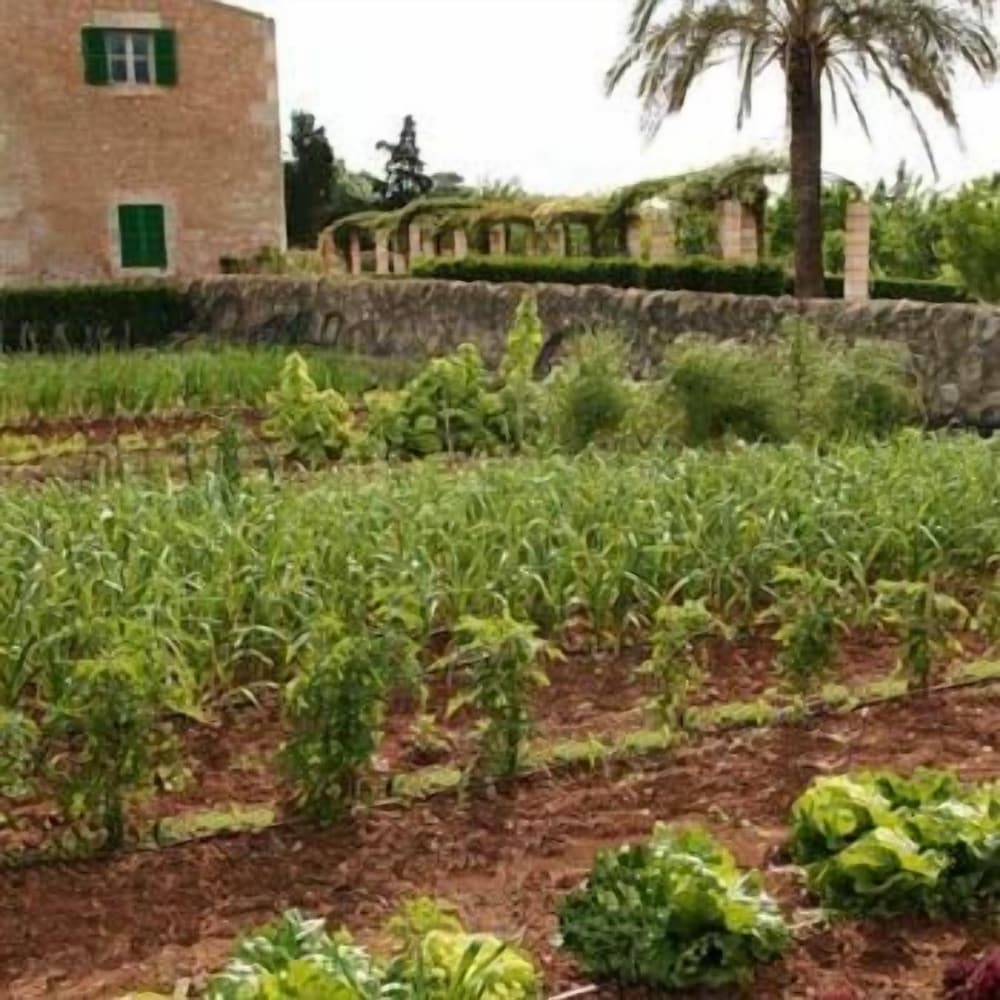 Son Bernadinet Agrotourism 47/63