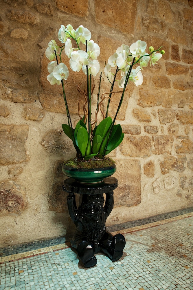 Hotel le Clos de Notre Dame 46/46