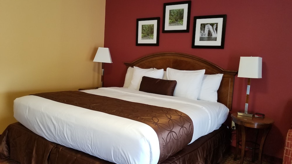 Forks Motel 17/50