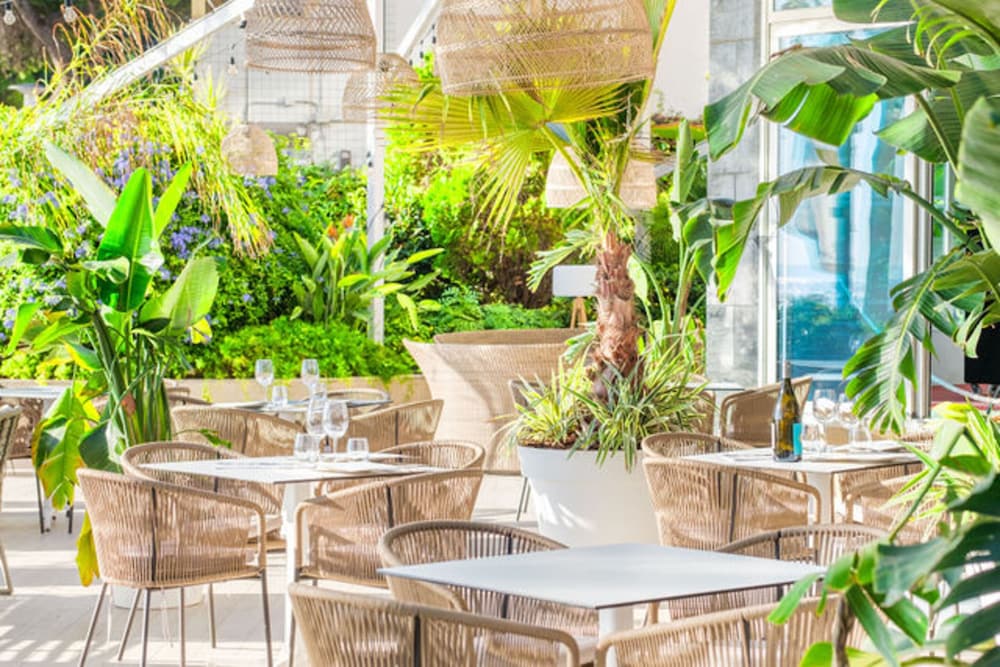 Agua Beach Hotel - Adults Only 49/66