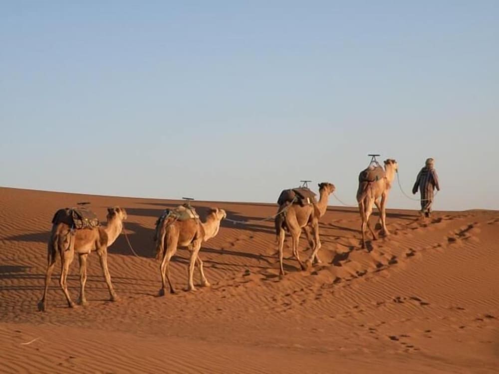 Bivouac Karim Sahara 16/28