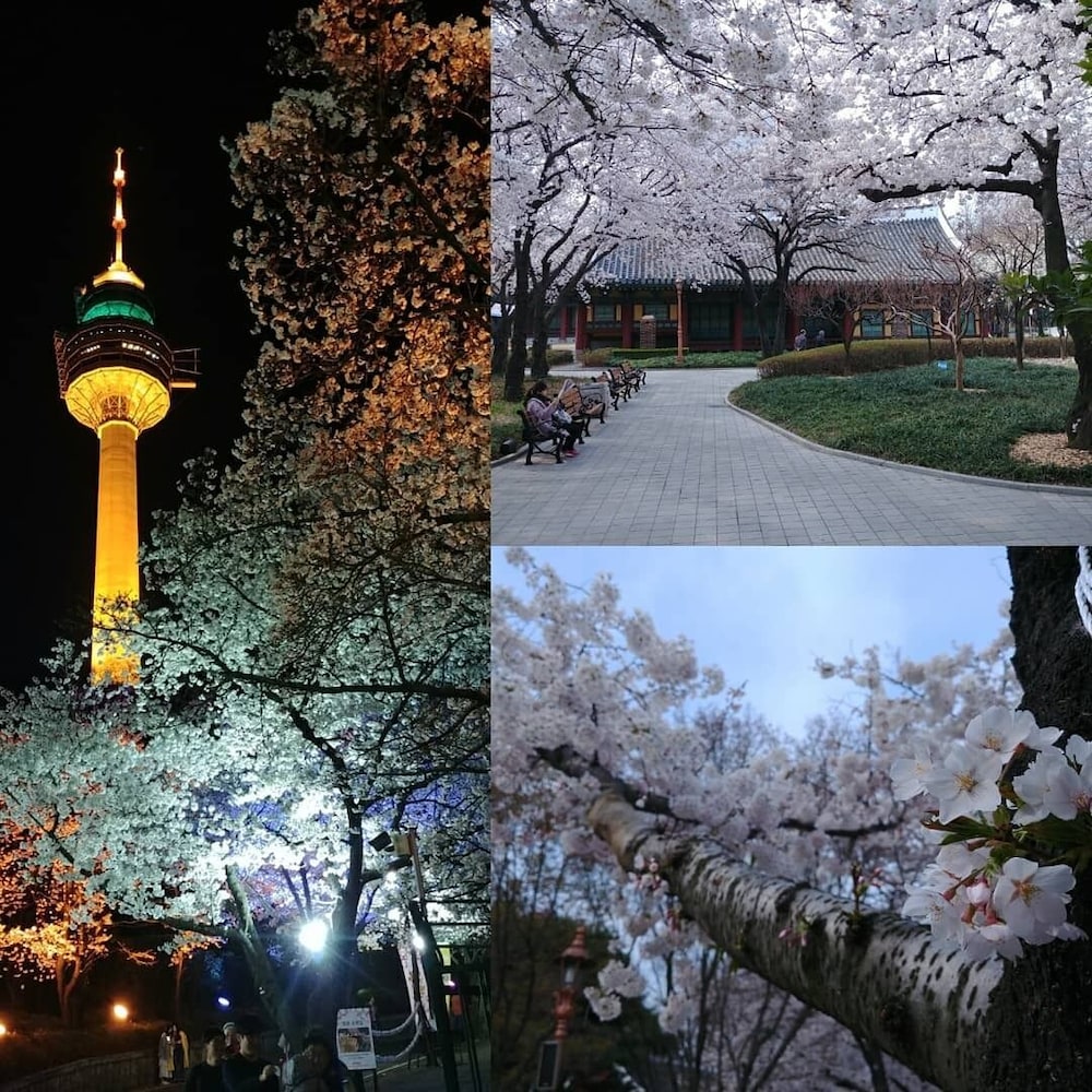 The Bomgoro Guest House In Daegu 20/23