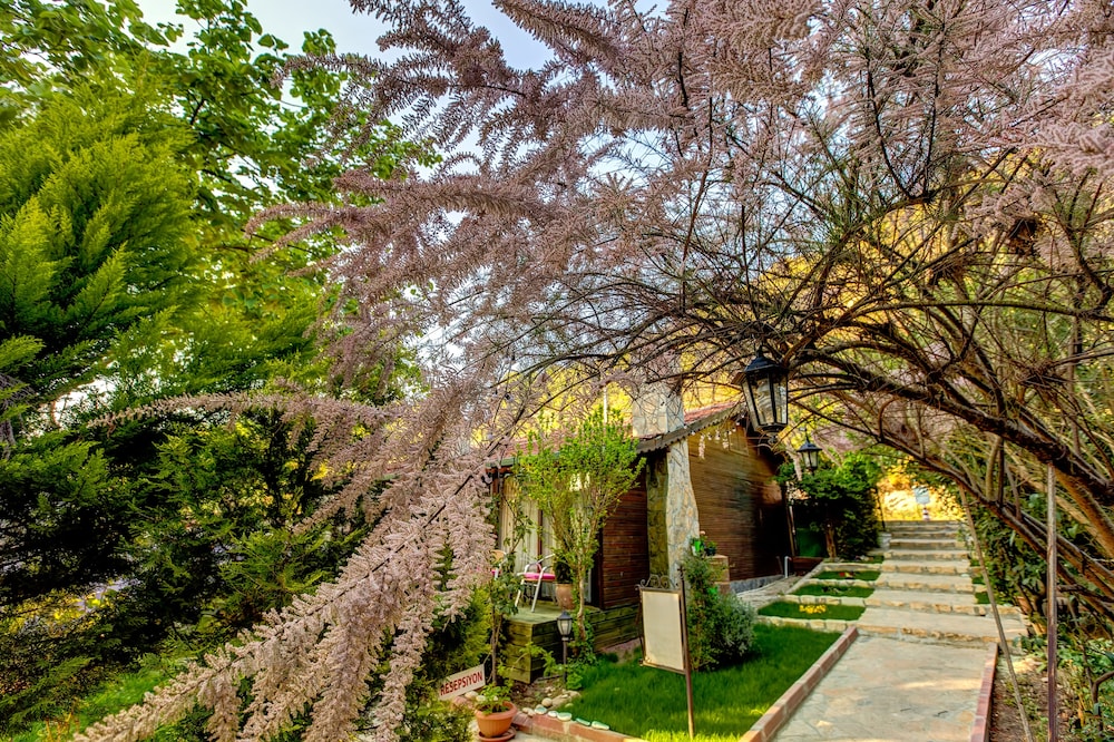 Agva Park Mandalin Hotel 46/50
