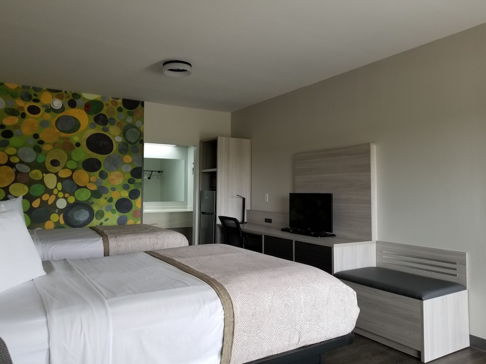 EFFICIENCY, SUITE, MULTIPLE BEDS