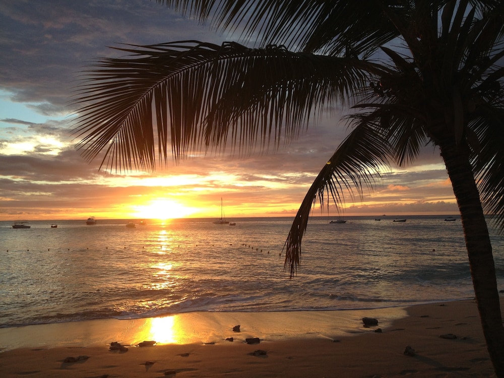 Sunswept Beach Hotel 19/44