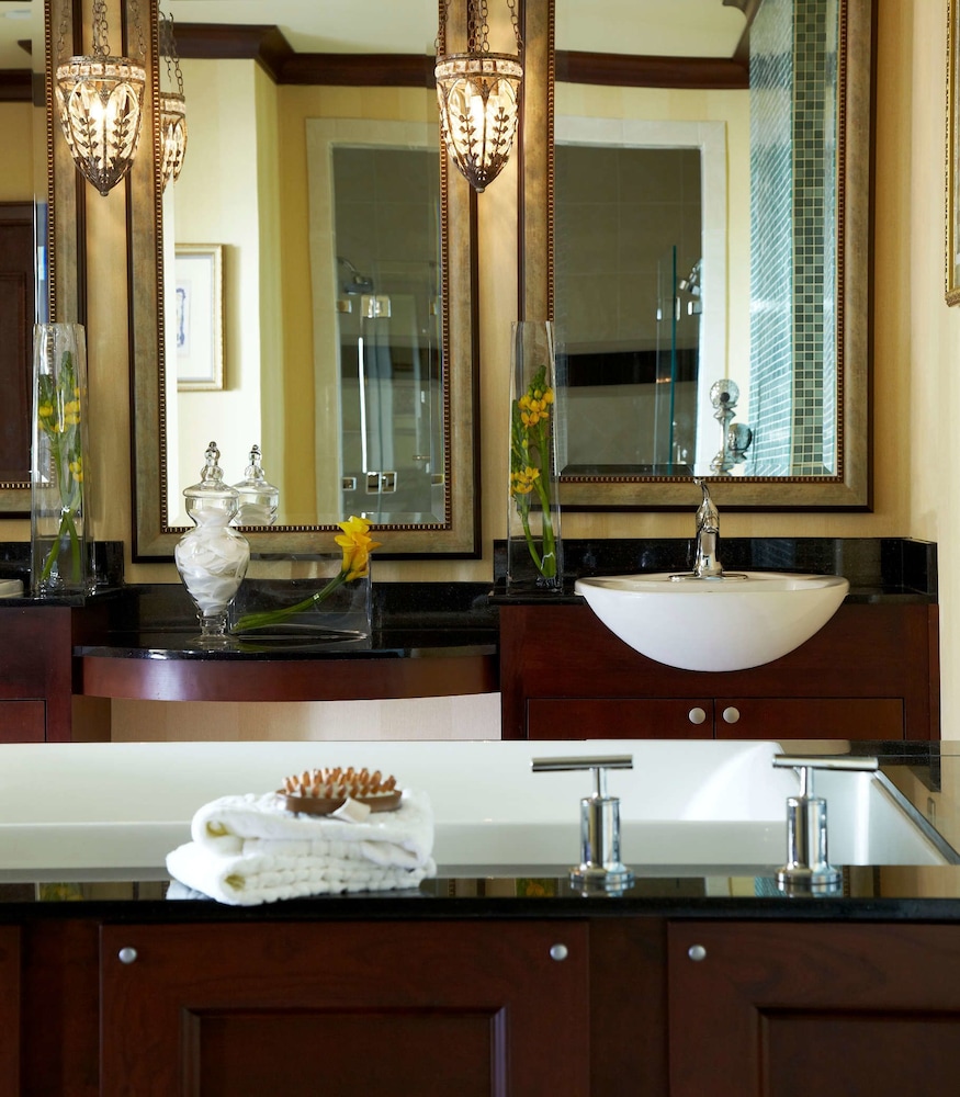 Renaissance Montgomery Hotel Spa At the Convention Center 45/54