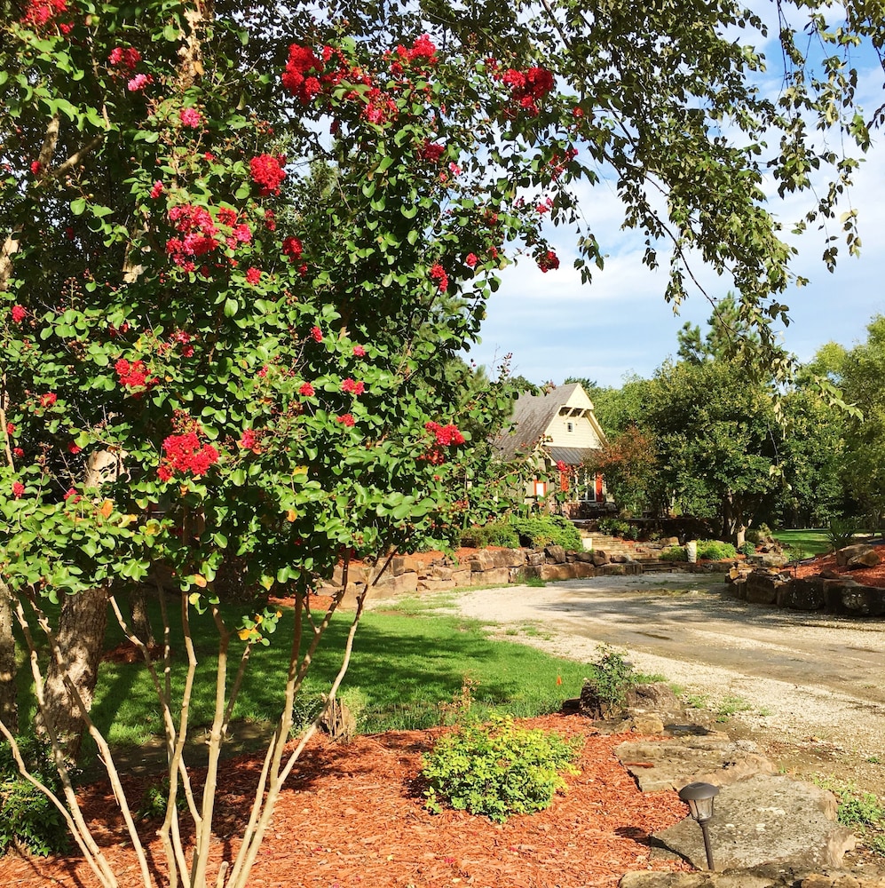 BarDew Valley Inn 27/48