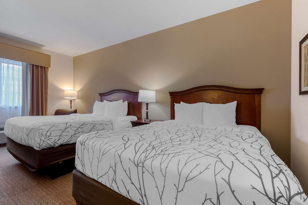 غرفة قياسية بسريرين كوين لذوي الإعاقة