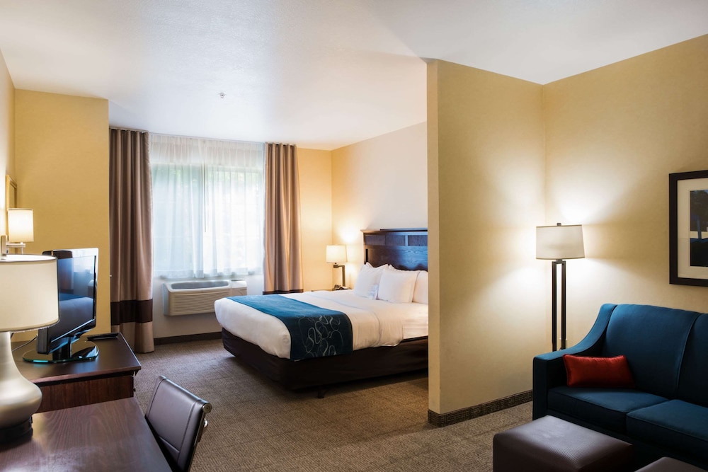 Comfort Suites Lake Geneva East 12/46