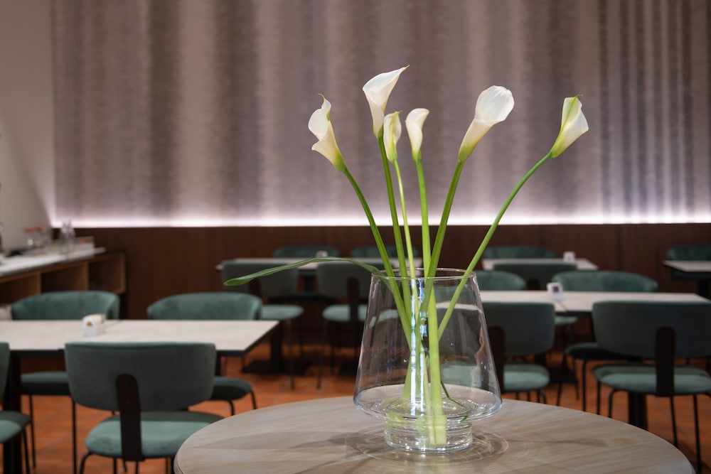 Hotel Gattapone 50/59