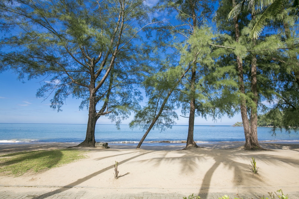 The Anda Mani Khaolak Beachfront Villas 39/50