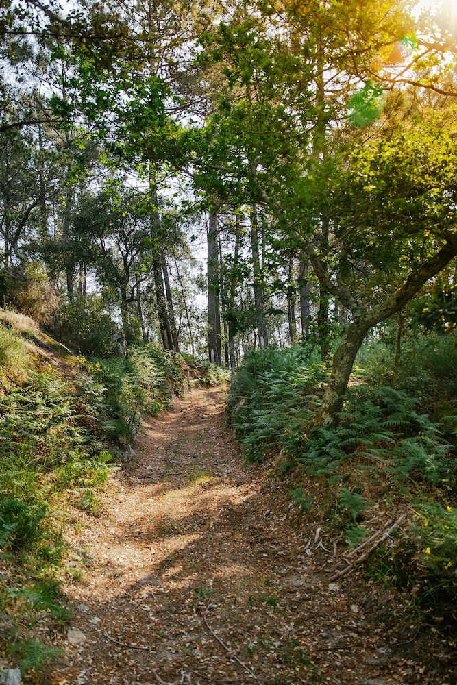 Quinta Da Bouca De Arques 31/50