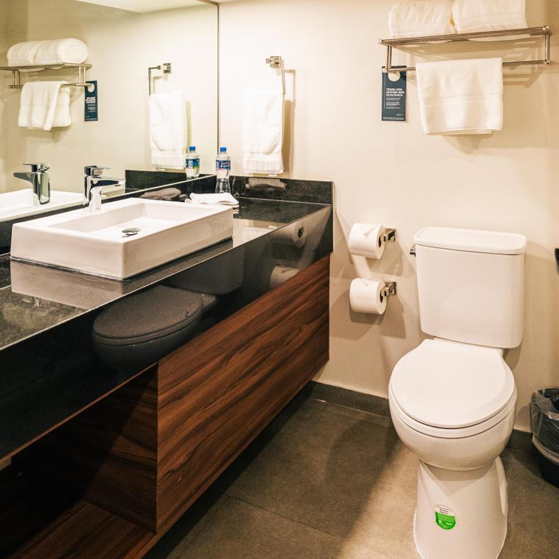 غرفة قياسية بسرير كينج لذوي الإعاقة، Real Inn Mexicali By Camino Real 2/2