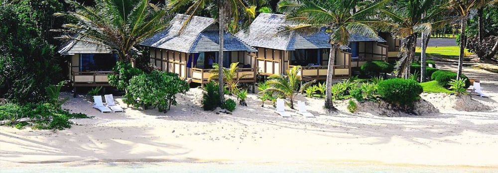 Palm Grove 24/68