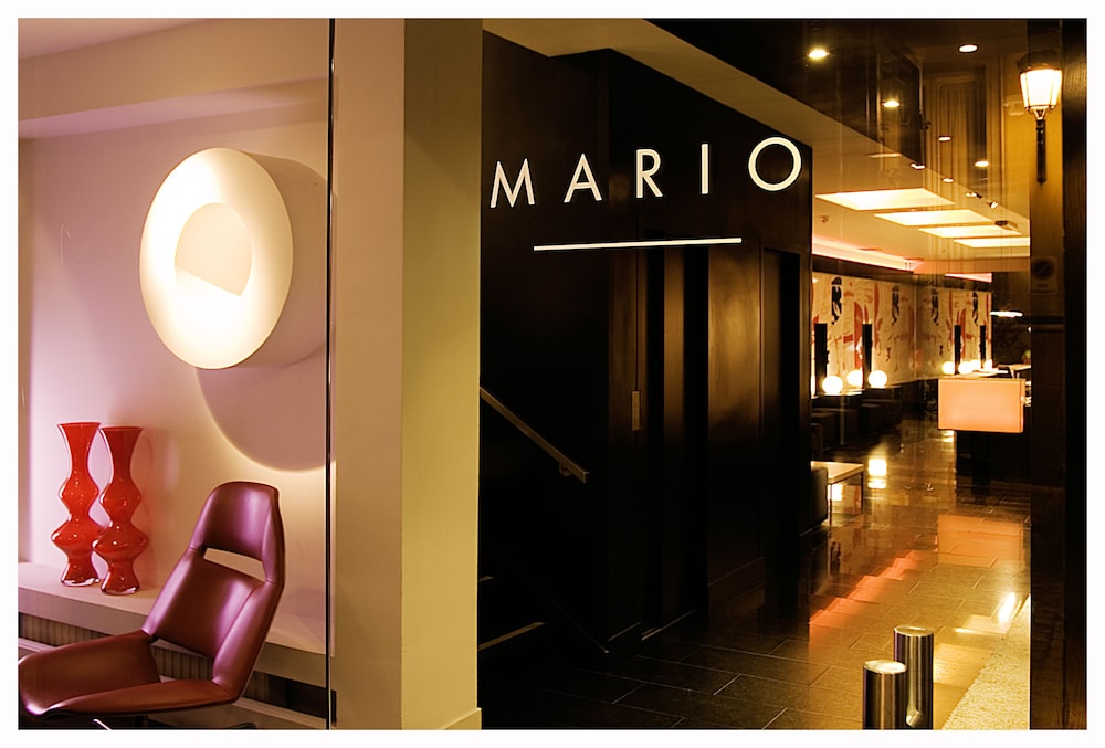 Room Mate Mario 39/69