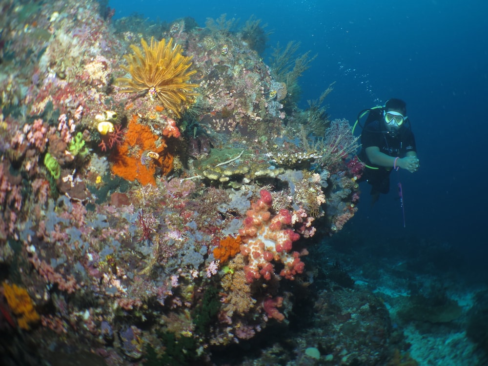 HamuEco Dive Resort Raja Ampat 34/45
