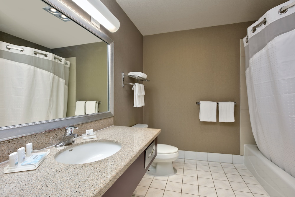 Holiday Inn Hotel And Suites 17/66