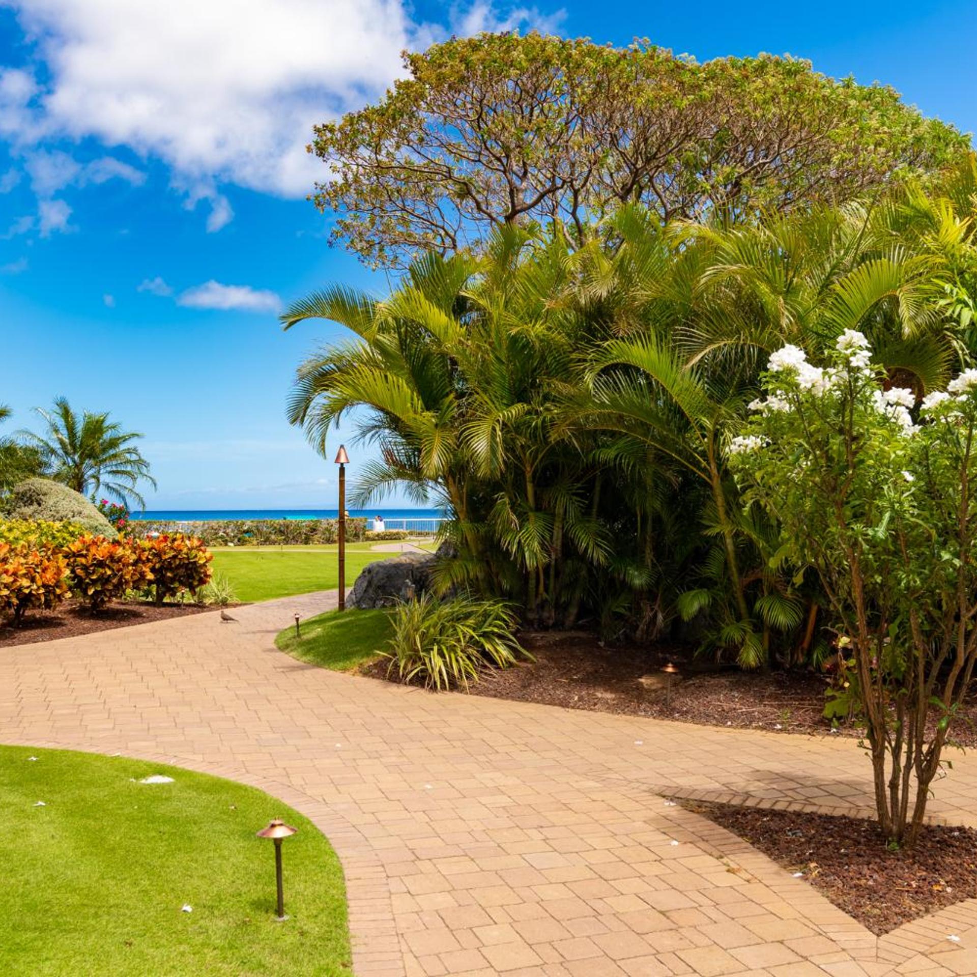 The Whaler Resort 35/50