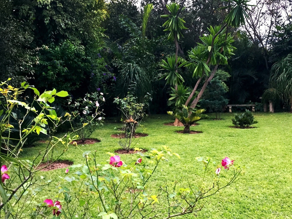 Palmwood Lodge 24/44