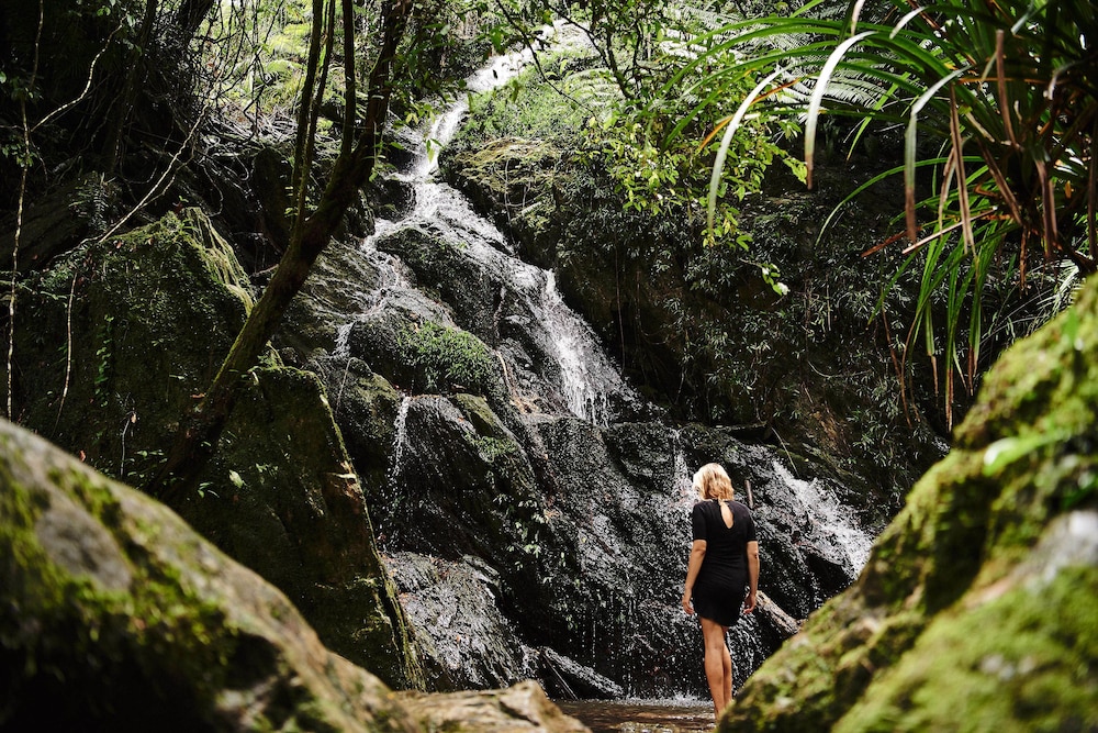 Daintree Ecolodge 41/50