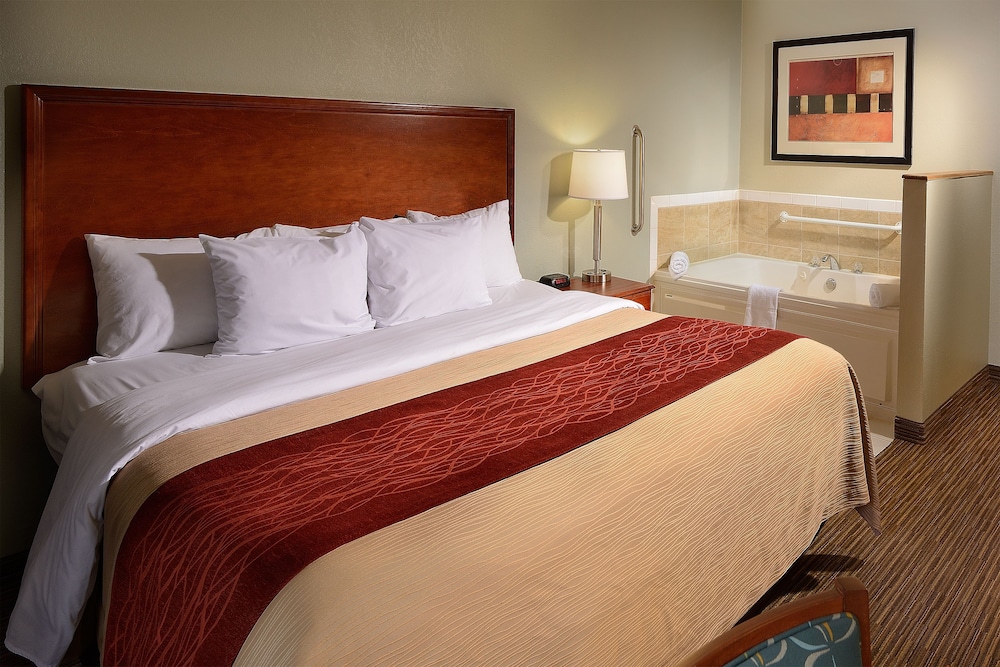 Comfort Inn Schereville, IN 11/42