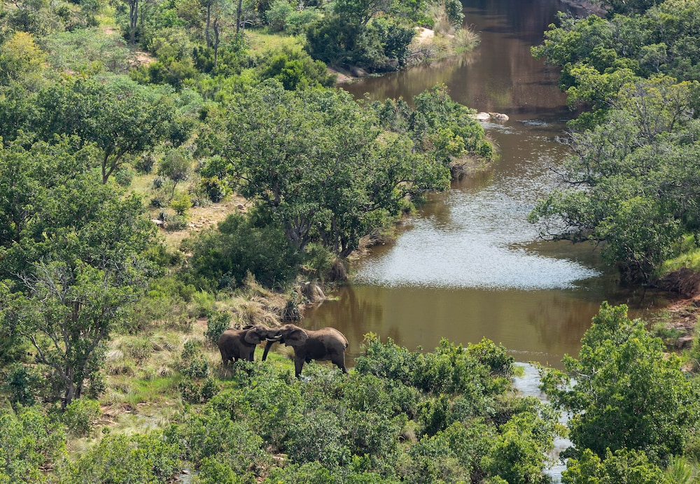 Clifftop Exclusive Safari Hideaway 30/37