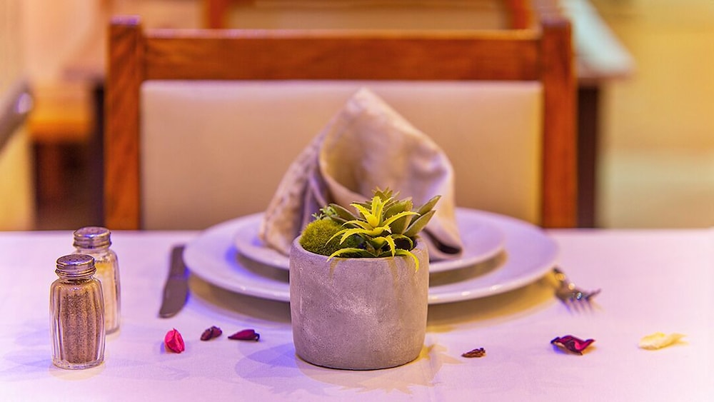 Tildi Hotel & Spa photo4