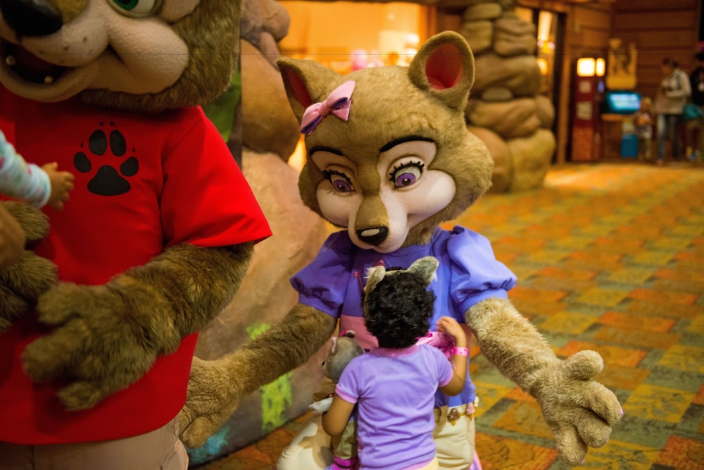 Great Wolf Lodge - Anaheim Ca 37/66