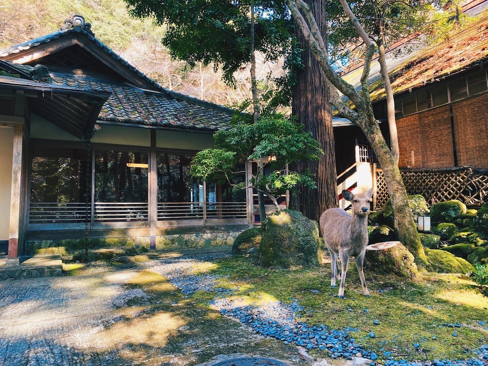 Tsukihitei Ryokan 3/49