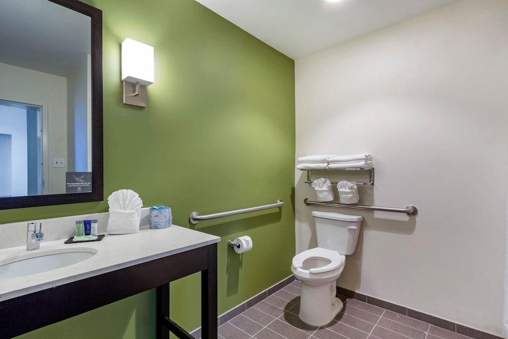 Sleep Inn & Suites Tampa South 18/42