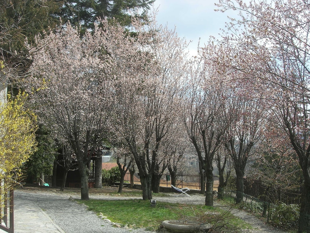 surroundings