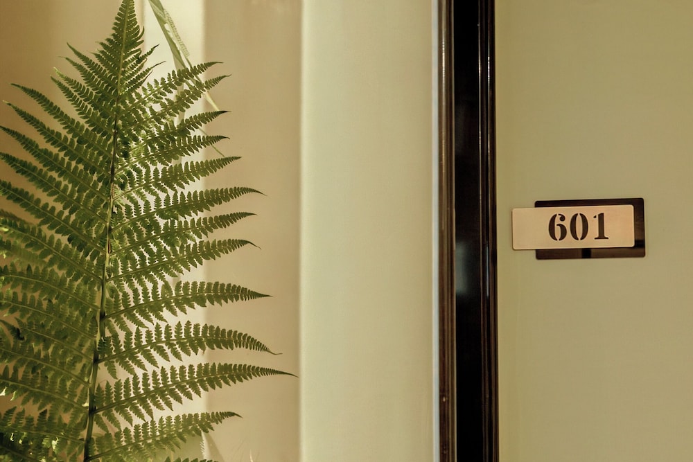 Anvi Saigon Boutique Hotel 27/50