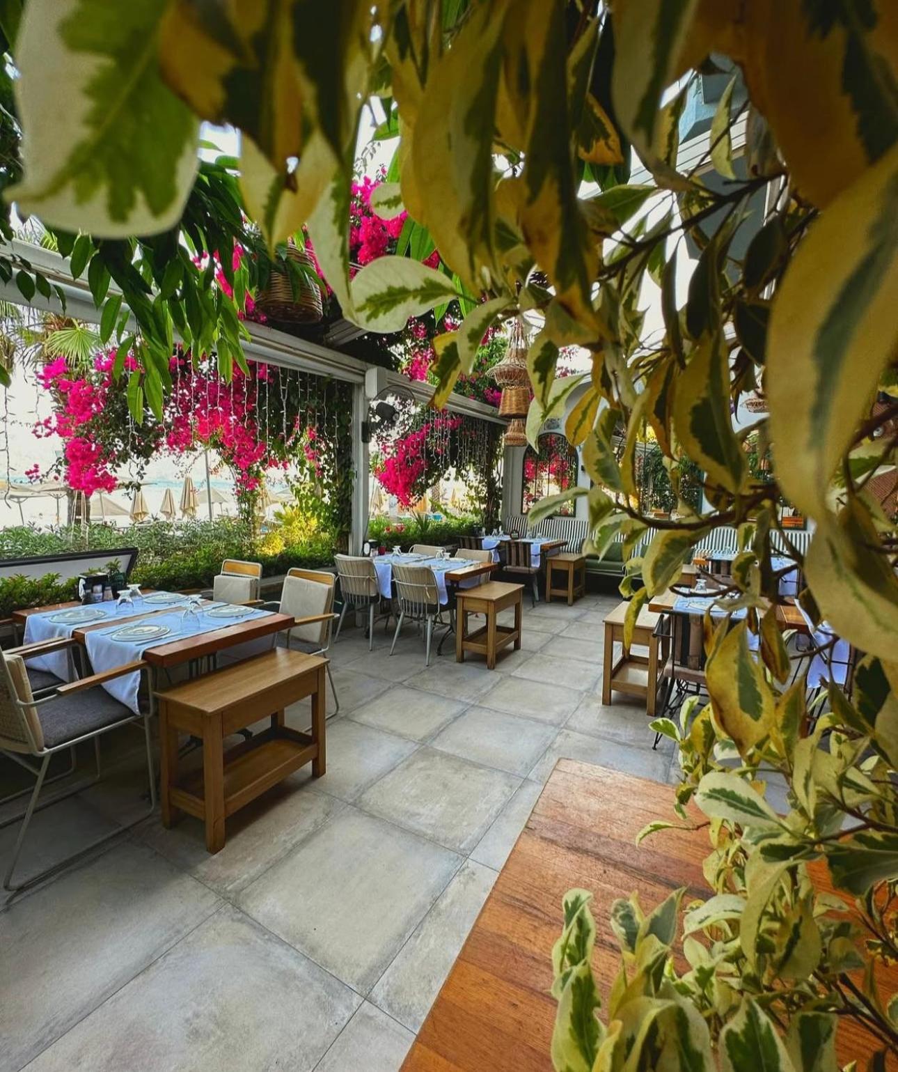 The New George & Dragon Beach Hotel 30/50