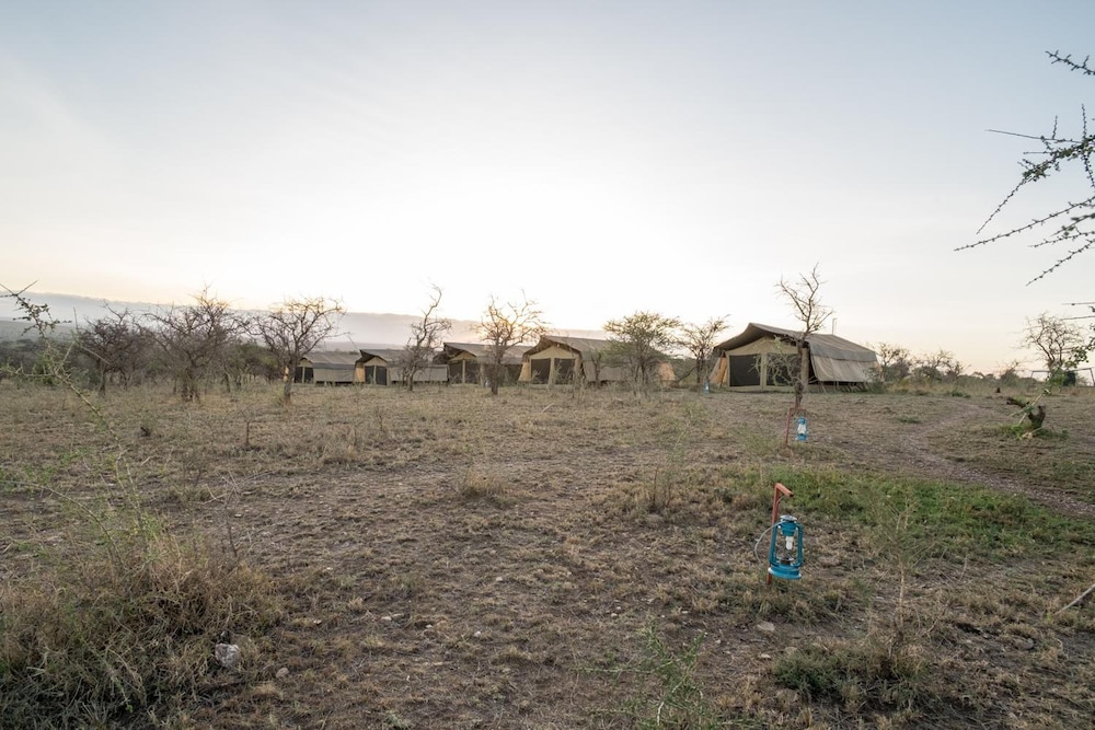 SERENGETI WILDEBEEST CAMP 50/55
